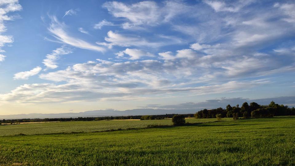 27.4.2019 Paisatge  L'Ametlla de Segarra -  Ramon Sunyer