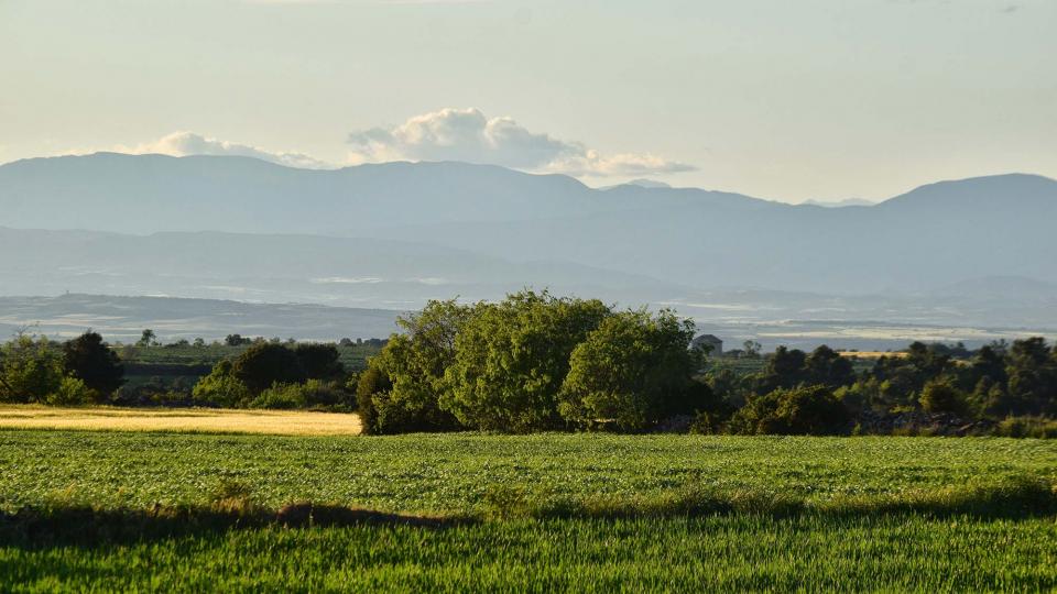 27 de Abril de 2019 Paisatge  L'Ametlla de Segarra -  Ramon Sunyer