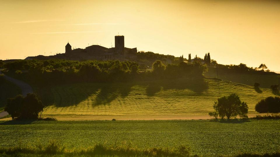 27 de Abril de 2019 Vista del poble  L'Ametlla de Segarra -  Ramon Sunyer