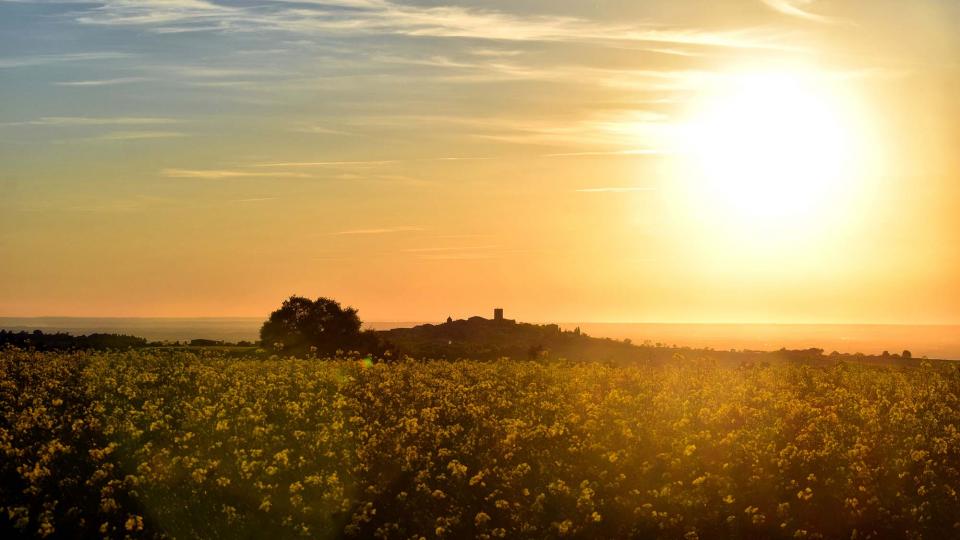 27 de Abril de 2019 Paisatge  L'Ametlla de Segarra -  Ramon Sunyer