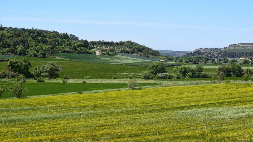 12 de Maig de 2019 Paisatge  Estaràs -  Ramon Sunyer