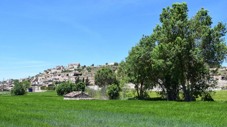 12.5.2019 Vista del poble  Les Oluges -  Ramon Sunyer