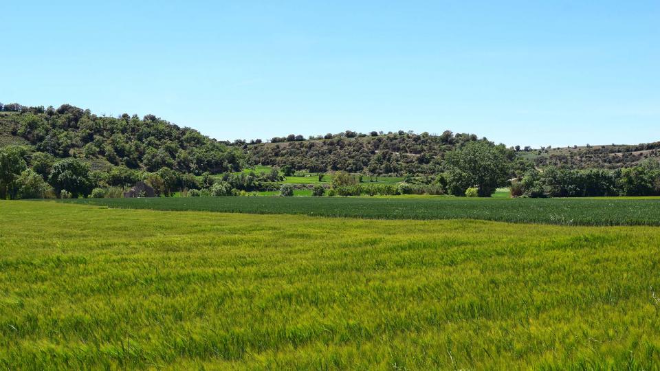 12 de Maig de 2019 Paisatge  Castellnou d'Oluges -  Ramon Sunyer