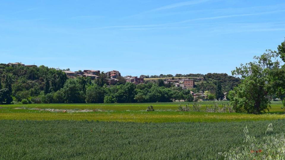 12.5.2019 Paisatge  Castellnou d'Oluges -  Ramon Sunyer