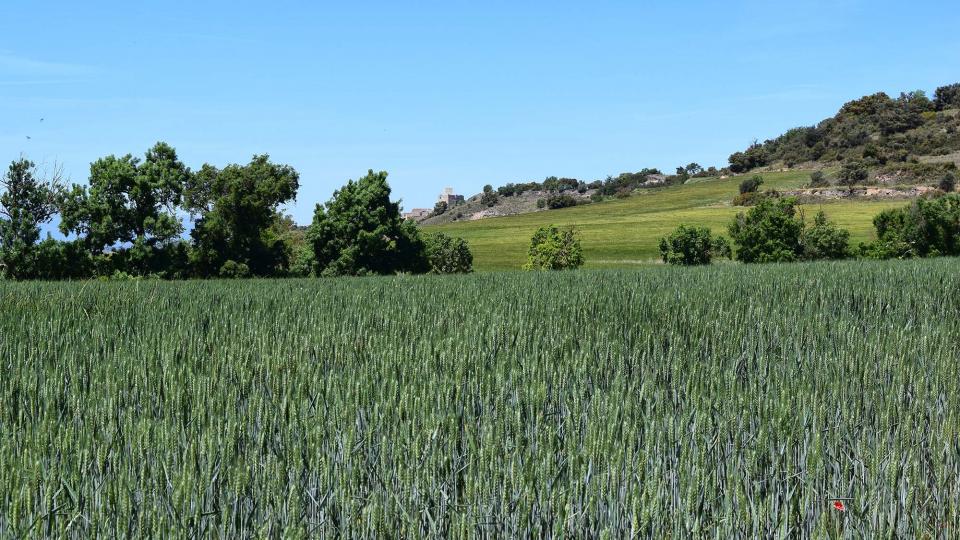 12.5.2019 Paisatge  Castellnou d'Oluges -  Ramon Sunyer