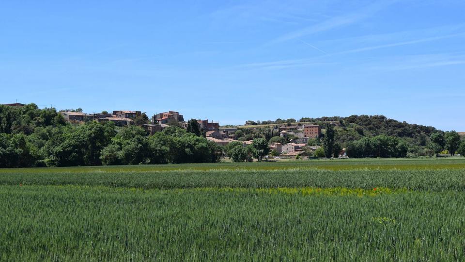 12 de Maig de 2019 Paisatge  Castellnou d'Oluges -  Ramon Sunyer