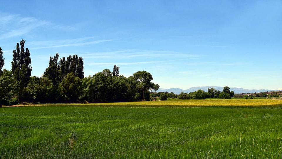 12.5.2019 Paisatge  Castellnou d'Oluges -  Ramon Sunyer