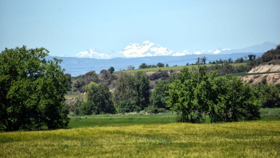 12.5.2019 Paisatge  Castellnou d'Oluges -  Ramon Sunyer