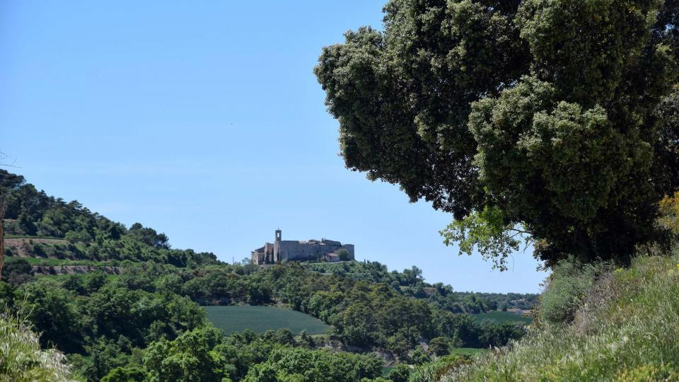 12 de Maig de 2019 Paisatge  Montfalcó Murallat -  Ramon Sunyer