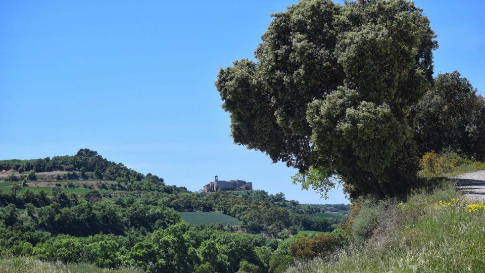 12 de Maig de 2019 Paisatge  Montfalcó Murallat -  Ramon Sunyer