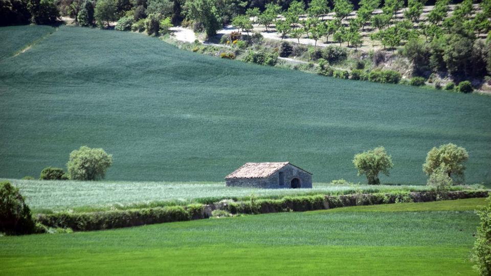 12 de Maig de 2019 Paisatge  Santa Fe -  Ramon Sunyer