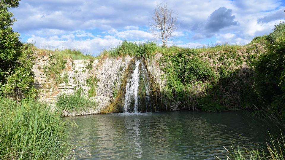 18.5.2019 peixera al riu Ondara  Pallerols -  Ramon Sunyer