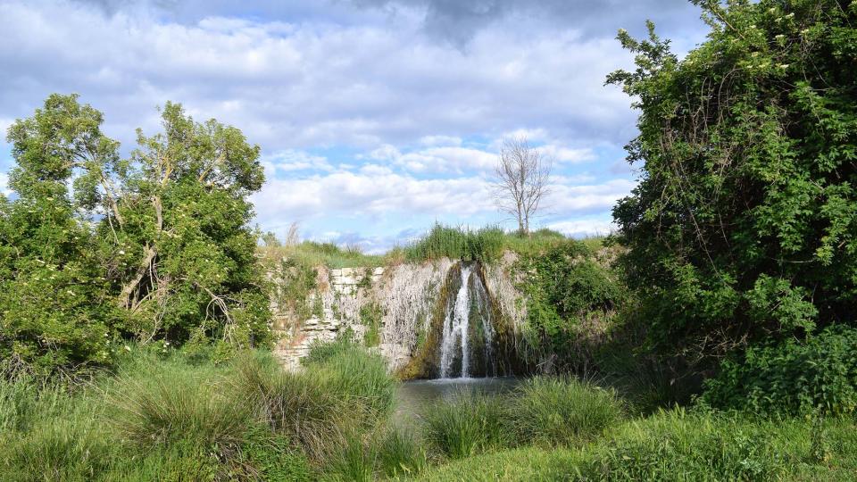 18.5.2019 peixera al riu Ondara  Pallerols -  Ramon Sunyer