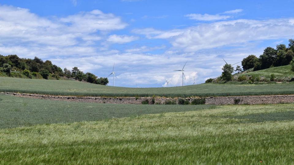 25 de Maig de 2019 Paisatge  L'Astor -  Ramon Sunyer