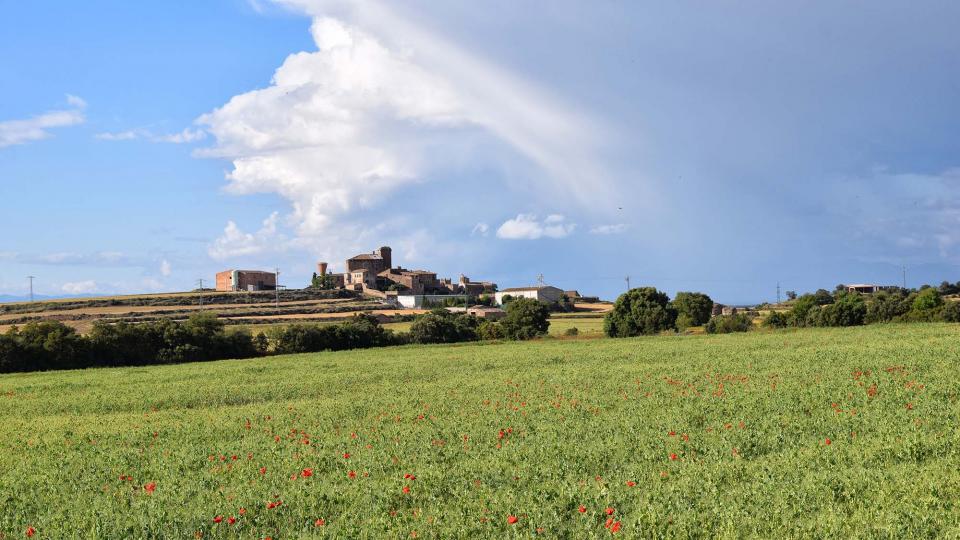 25.5.2019   L'Aranyó -  Ramon Sunyer