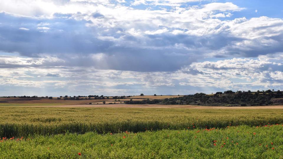 25.5.2019 Paisatge  L'Aranyó -  Ramon Sunyer