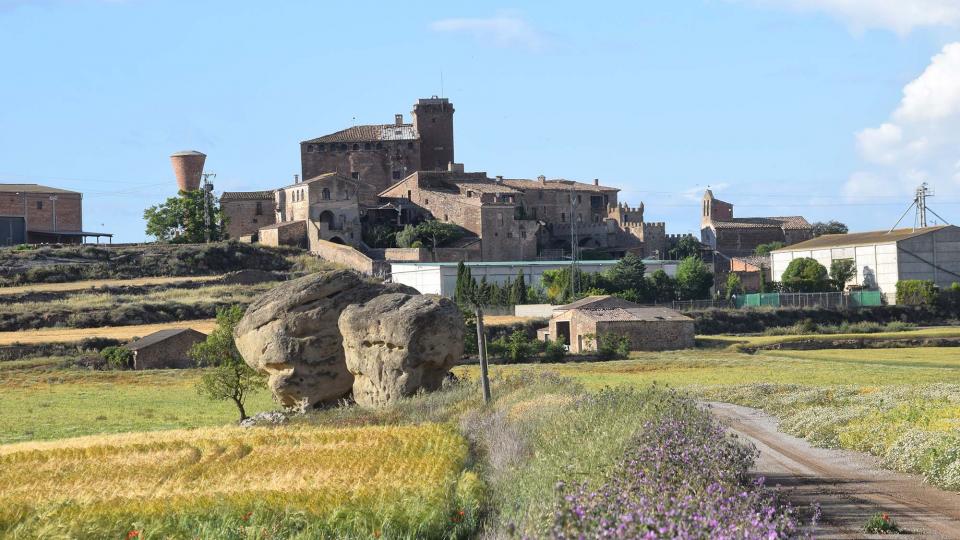 25.5.2019   L'Aranyó -  Ramon Sunyer