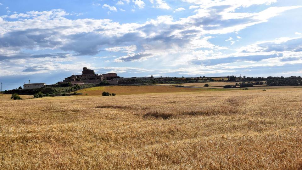 25.5.2019   L'Aranyó -  Ramon Sunyer