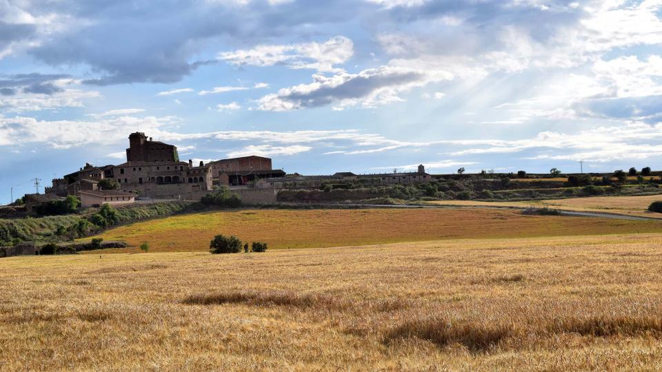 25.5.2019   L'Aranyó -  Ramon Sunyer