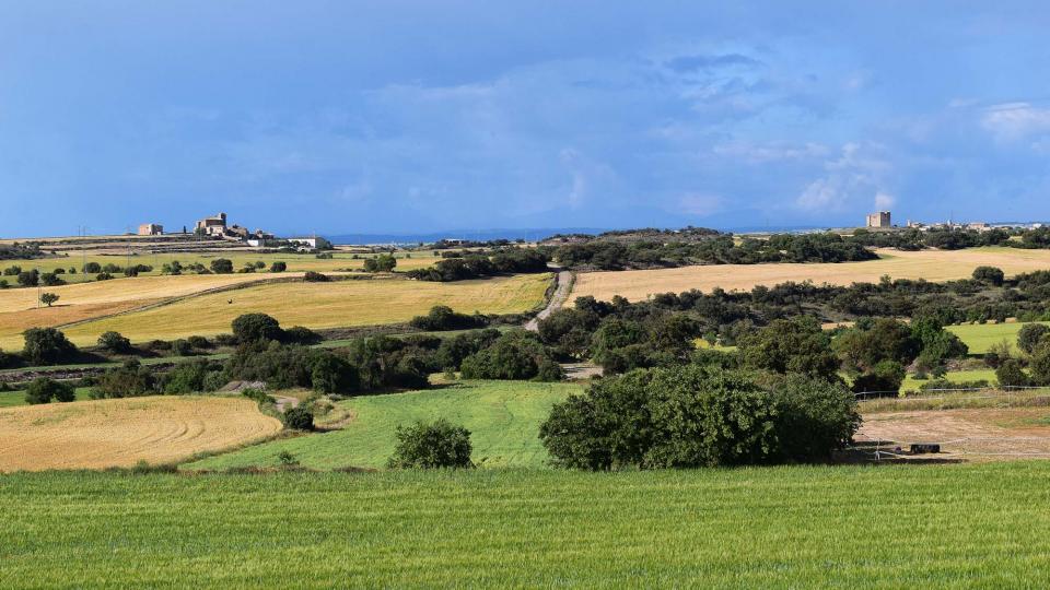 25.5.2019 Paisatge  L'Aranyó -  Ramon Sunyer