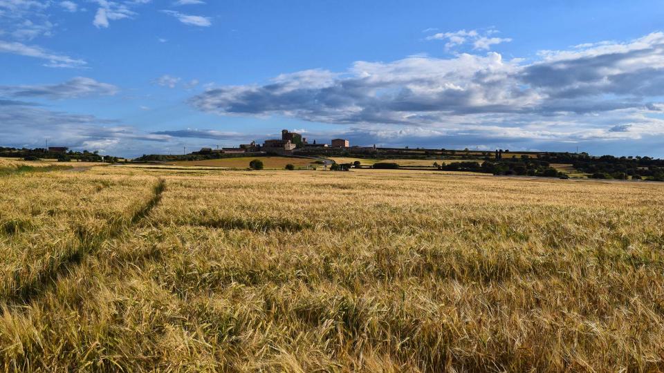 25.5.2019   L'Aranyó -  Ramon Sunyer