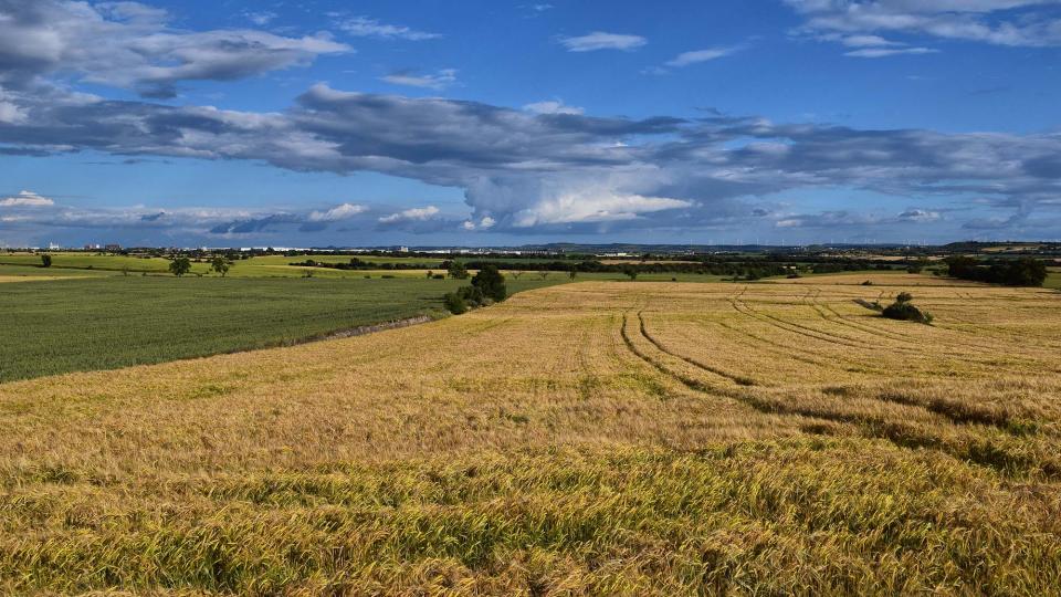 25 de Maig de 2019 Paisatge  Montcortès de Segarra -  Ramon Sunyer