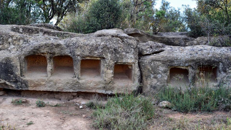 25.5.2019   Montcortès de Segarra -  Ramon Sunyer