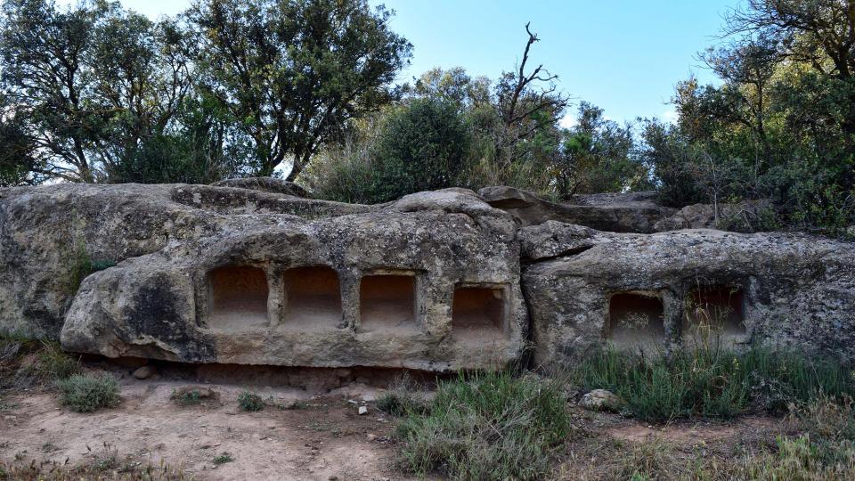 25.5.2019   Montcortès de Segarra -  Ramon Sunyer