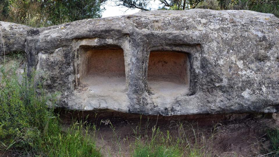 25.5.2019   Montcortès de Segarra -  Ramon Sunyer