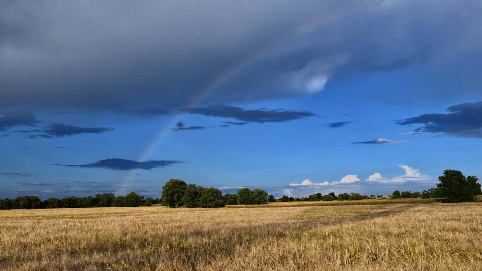 25.5.2019 Paisatge  Montcortès de Segarra -  Ramon Sunyer