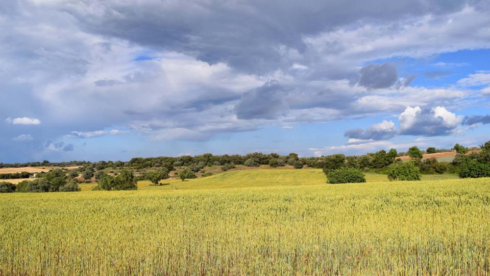 25.5.2019 Paisatge  El Canós -  Ramon Sunyer