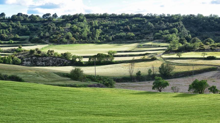 Ruta btt de Turons de la Segarra - Autor Ramon Sunyer (2019)
