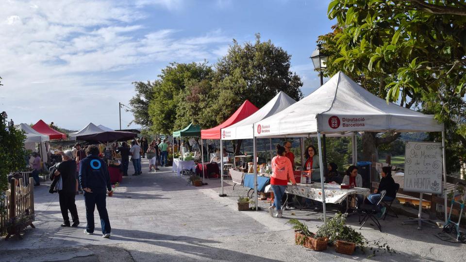 8.6.2019 - Argençola - Ajuntament Argençola