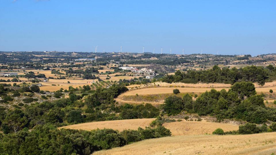 22.6.2019 vista de Pomar  Rubinat -  Ramon Sunyer