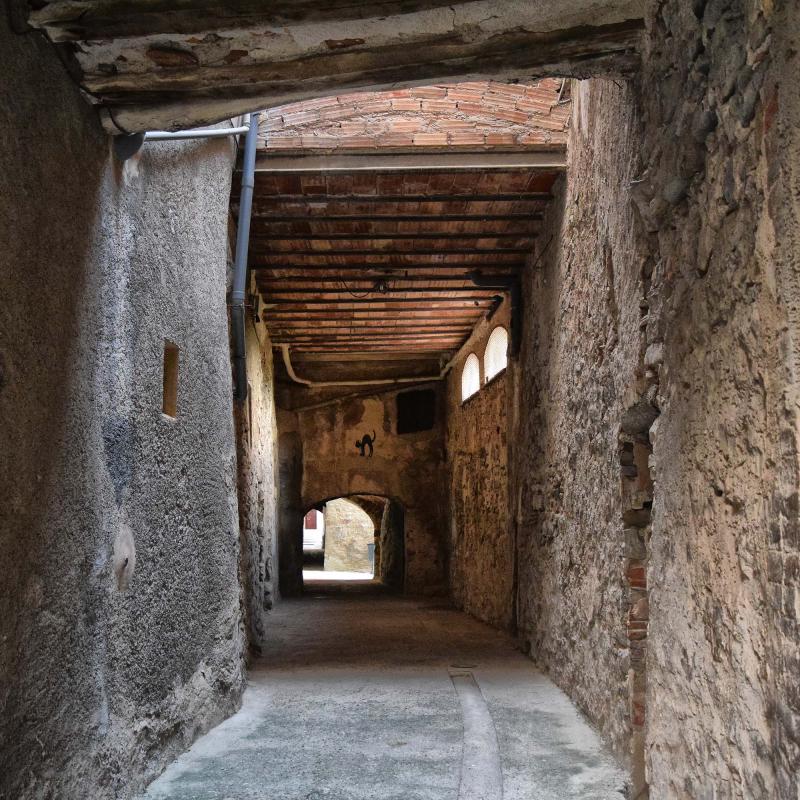 8.6.2019 Carreró de les Bruixes  Cervera -  Ramon Sunyer