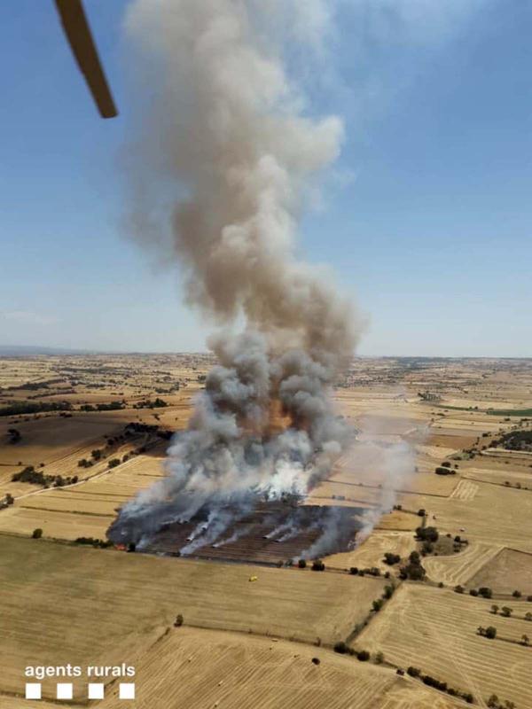 Incendi agrícola a Torrefeta i Florejacs -  Incendi agrícola a Torrefeta i Florejacs -
