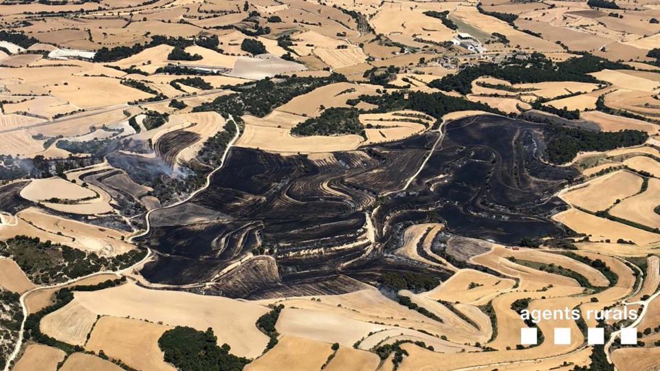 Superfície afectada a l'incendi de Talavera -  Superfície afectada a l'incendi de Talavera -