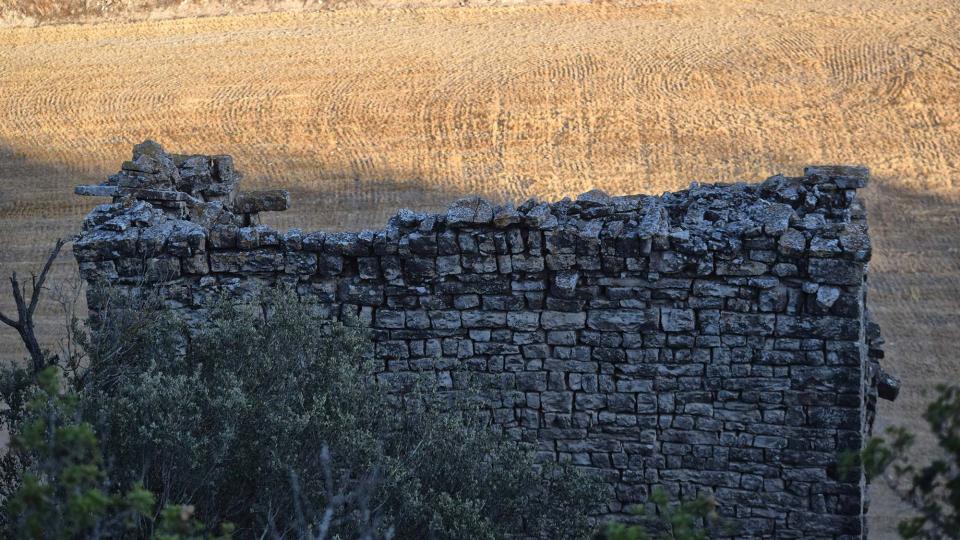 14.8.2019 Colomar  Gospí -  Ramon Sunyer