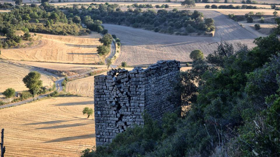 14.8.2019 Colomar  Gospí -  Ramon Sunyer