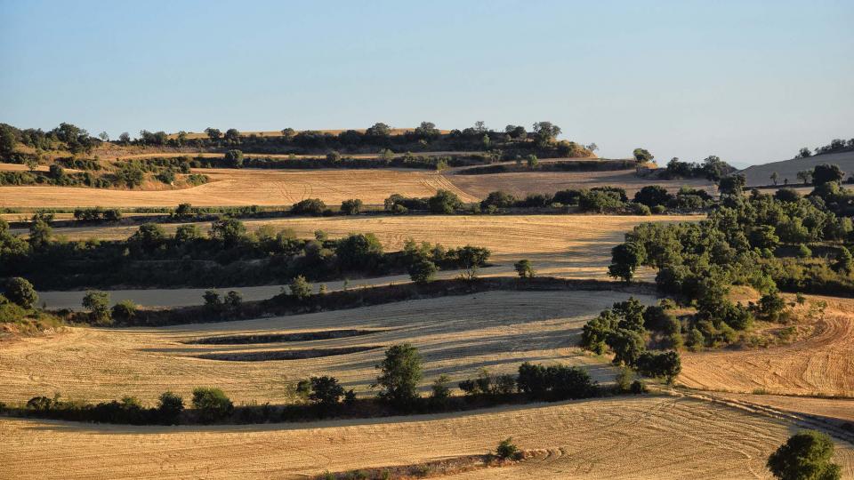 14.8.2019 paisatge  Gospí -  Ramon Sunyer