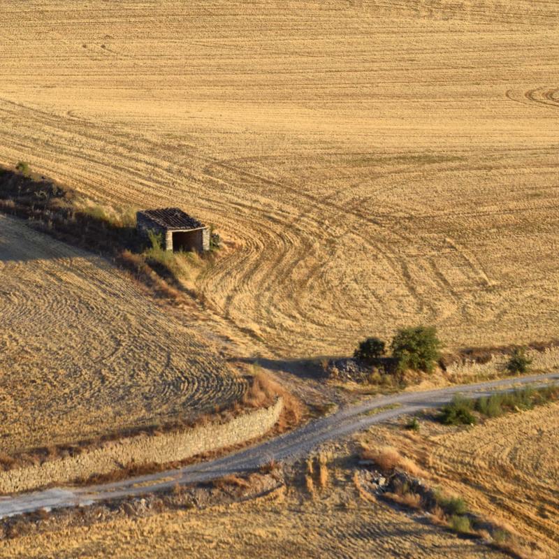 14.8.2019 paisatge  Gospí -  Ramon Sunyer