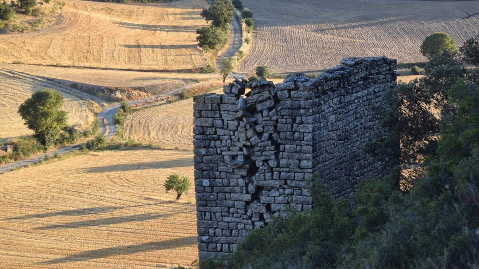 14.8.2019 Colomar  Gospí -  Ramon Sunyer