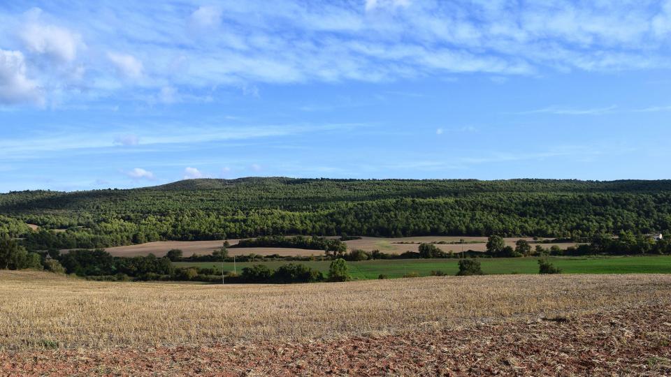 11 de Setembre de 2019 Paisatge  Valldeperes -  Ramon Sunyer