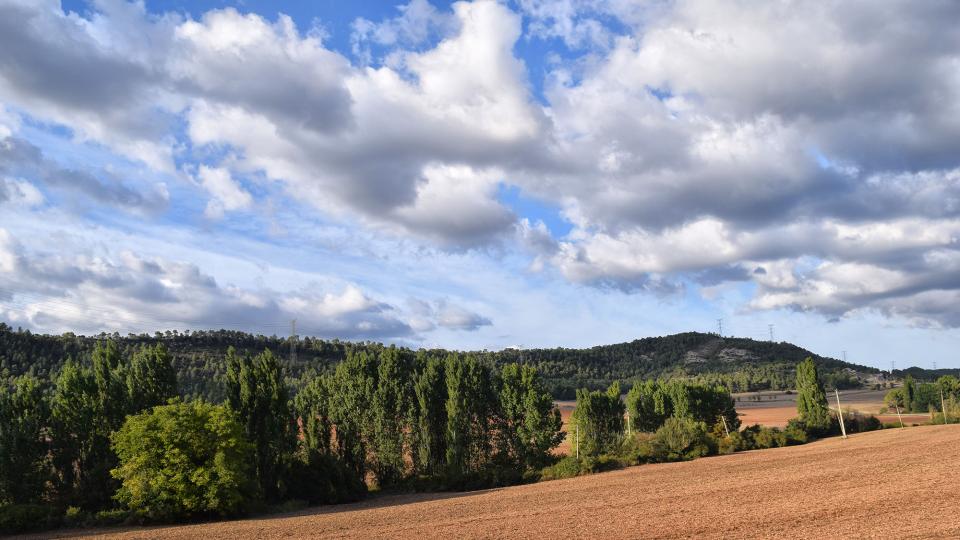 11.9.2019 Paisatge  Valldeperes -  Ramon Sunyer