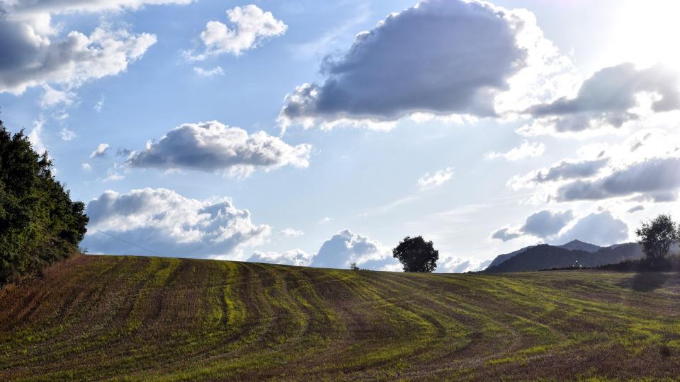 11.9.2019   Valldeperes -  Ramon Sunyer