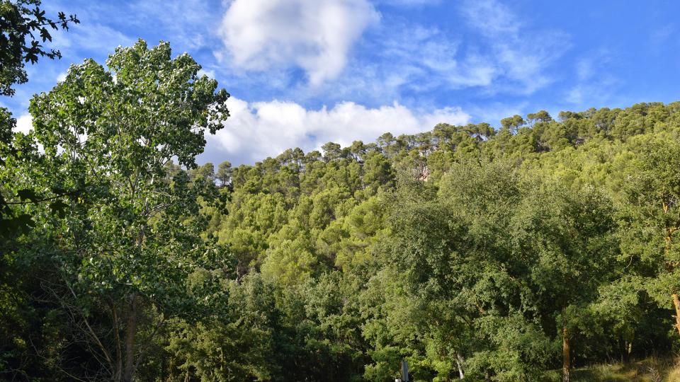 11.9.2019 Paisatge a les Fonts de sant Magí  Rocamora i Sant Magí de la Brufaganya -  Ramon Sunyer