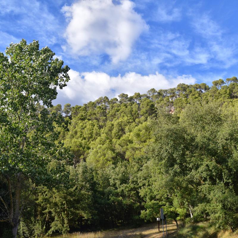 11.9.2019 Paisatge a les Fonts de sant Magí  Rocamora i Sant Magí de la Brufaganya -  Ramon Sunyer