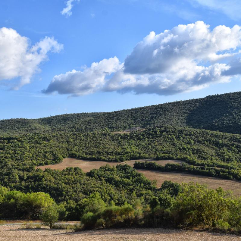 11.09.2019 Vista des de sant Magí  Rocamora i Sant Magí de la Brufaganya -  Ramon Sunyer
