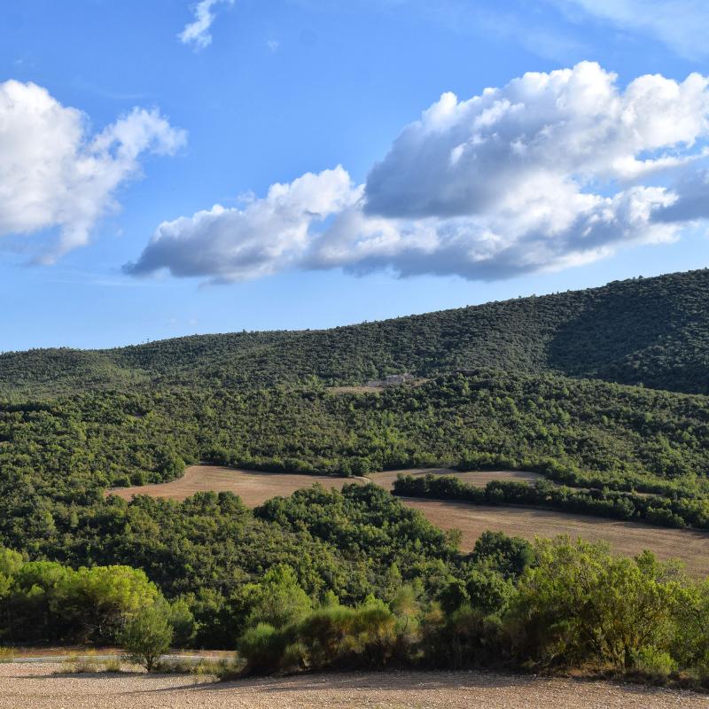 11 de Setembre de 2019 Vista des de sant Magí  Rocamora i Sant Magí de la Brufaganya -  Ramon Sunyer