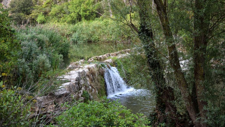 11.9.2019 Peixera al riu Gaià  Santa Perpètua de Gaià -  Ramon Sunyer